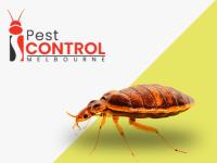 I Bed Bug Control Melbourne image 2